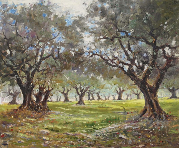 Paysage de Provence - Les oliviers
