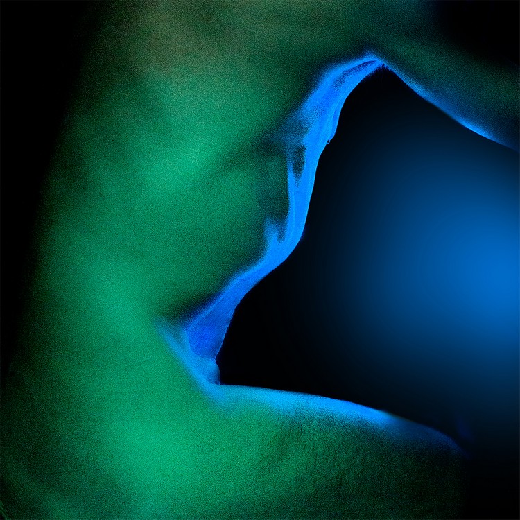 Eclats de vert, ombres bleues #12