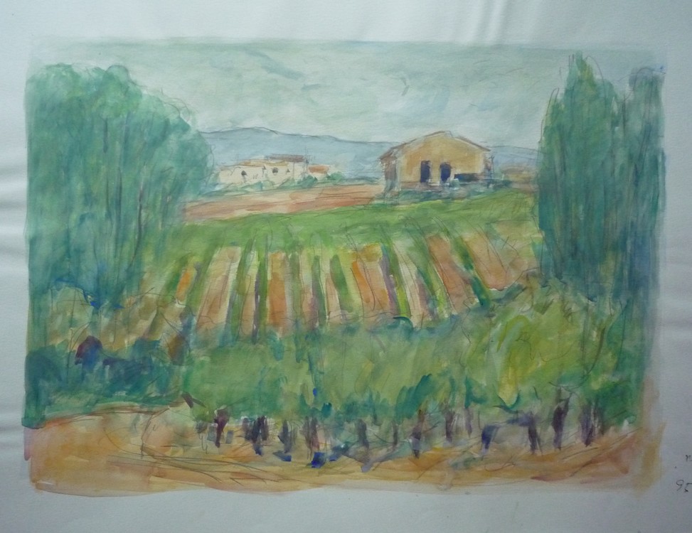 Paysage du Midi - Les vignes #1