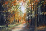 Sentier forestier