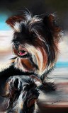 Le chien
