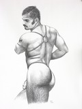 Nu masculin #12