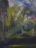 Paysage forestier