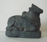 INDE - Nandi