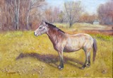 Cheval