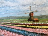 Moulin  vent dans le champ de fleurs, Pays-Bas